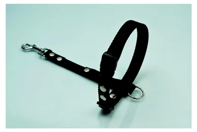 Produktbild von Böttcher Fährtengeschirr Fester Steg Gr.M Nylon 20mm SCHWARZ
