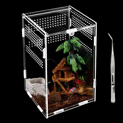 Image de TRANKIELO® - Terrarium en acrylique, dimensions 20 x 12 x 12 cm – Cage pour insectes avec conception anti-évasion – Portable et bien ventilée