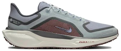 Productafbeelding van Nike Air Zoom Pegasus 41 Gore-Tex, kleur: Light Pumice Burgandy Crush, maat: EU 40.5