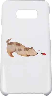 Produktbild von Mr. & Mrs. Panda Samsung Galaxy S8 plus Handyhülle  Hund Marienkäfer - Weiß - Geschenk, Hunde, Cover, Neugierig, Handy Case, Sprüche, Hülle, Mischlingshund