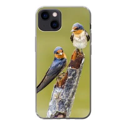 Produktbild von MuchoWow® Handyhülle Schutzhülle Hülle für iPhone 13 Vögel - Zweig - Porträt Silikon Softcase Handy Hülle - Karteninhaber
