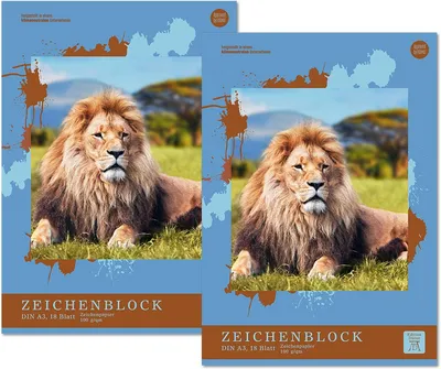 Productafbeelding van Tekenblok A3 18 vellen 100 g/m², 4 motieven, 2 stuks, kleurplaat voor kinderen en volwassenen