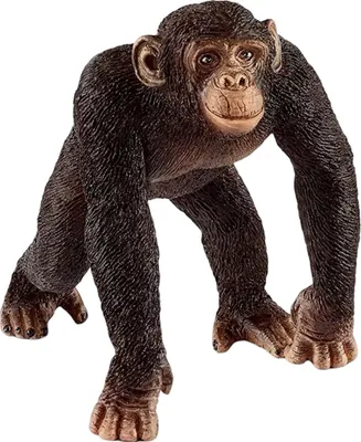 Produktbild von Schleich, Figurine Wildlife Männlicher Schimpanse aus den tropischen Regenwäldern Afrikas, Braun