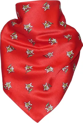 Produktbild von Harrys-Collection Damen Trachtentuch Edelweiss