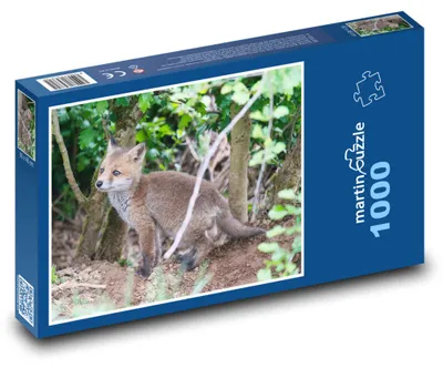 Produktbild von Puzzle 1000 Füchsenjunges im Wald - martinpuzzle