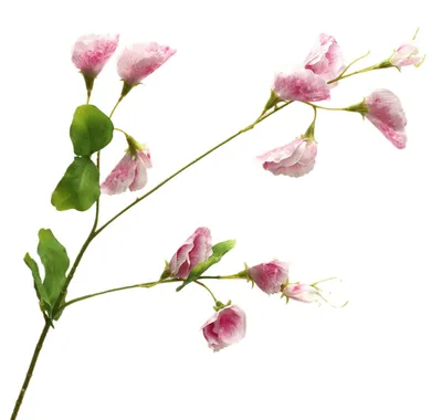 Produktbild von Künstliche Blume, realistische, langstielige Kunstblume mit grünen Blättern, geeignet für Zuhause, Büro, drinnen und draußen, Hochzeiten und Partys.