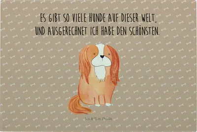Produktbild von Mr. & Mrs. Panda Hackbrett Hund Cavalier King Charles Spaniel - Hundeglück - Geschenk, Sprüche, Glas Schneidbrett, Schneidebrett Aus, Schneidplatte, Bester, Cockerspaniel