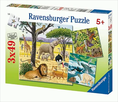 Image de Ravensburger 09387, 180 mm, 180 mm, 280 x 190 x 40 mm