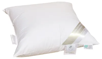 Produktbild von Hofmann Kopfkissen Daunenkissen Kuschelkissen 50x50 100% neue Daunen 350 g prall