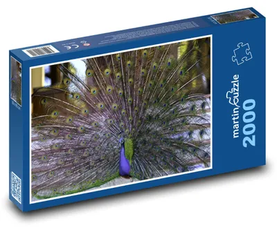 Produktbild von martinpuzzle - Puzzle 2000 Teile - Schöner Kronenpfau