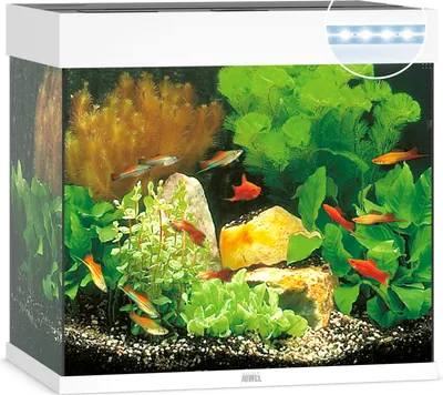 Produktbild von Juwel Lido 120 LED weiß - Aquarium Juwel