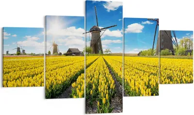 Produktbild von Bild auf Leinwand - Leinwandbild - Tulpen Windmühle Wiese Landschaft - 125x70cm - Wand Bild - Wanddeko - Leinwanddruck - Bilder - Kunstdruck - Leinwand bilder - Wandkunst - EA125x70-2879