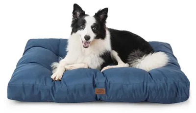 Productafbeelding van Groot, waterbestendig hondenbed van Oxford-stof, marineblauw