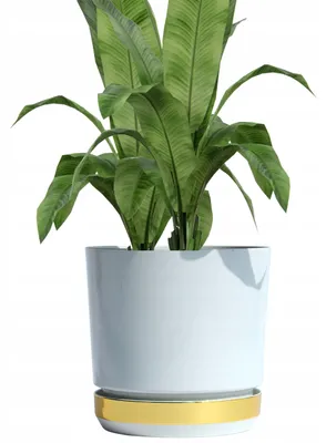 Produktbild von Kerd Dekor DUO Blumentopf Ø18.5cm Weiß mit Gold Glanz Untersetzer