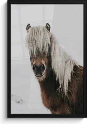 Produktbild von MuchoWow® MuchoWow® Gerahmtes Poster Pferde - Tiere - Porträt - Braun - Weiß 40x60 cm - Poster mit zchwarzem Bilderrahmen - Papierdruck - Wandbilder