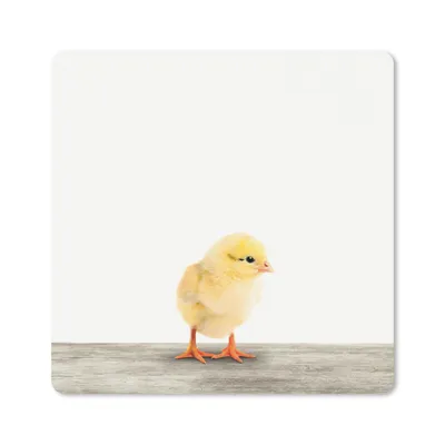 Produktbild von MuchoWow® Mauspad Mousepad Küken - Tiere - Jungen - Mädchen - Kinder 30x30 cm - Mousepads - Maus Mat - Pad - Mausunterlage - Gaming