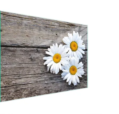 Obrázok produktu pre Doska na krájanie Kryt na sporák Doska na krájanie zo skla Multiglass 30x22 cm Daisy wood