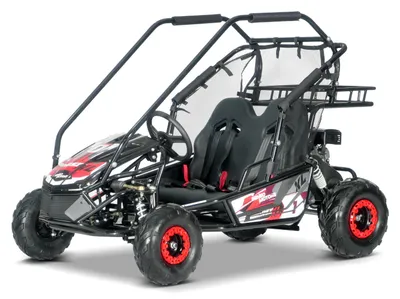 Produktbild von Benzin-Kart für Kinder Beneo Motors BUGGY RSX XL Rot – 212 cm³