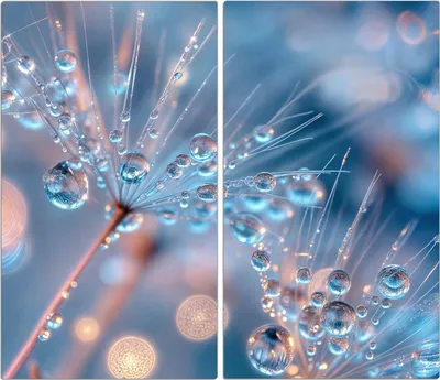 Produktbild von Spritzschutz Herdabdeckplatte Schneidebrett aus Glas Wassertropfen Kunst 2-Teilig (60x52cm)
