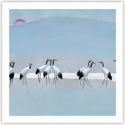 Produktbild von Poster - Poster ohne Rahmen - Vögel Kraniche Natur - 60x60 cm - Wand Bild - Wanddeko - Wandbilder - Kunstposter - Wandposter - Bilder - Kunstdruck - Wanddekoration - Wandbild - P2XAC60x60-4921