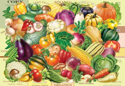 Produktbild von Grafika Puzzle Gardener's Bounty - 1000 Teile Puzzle Spaß