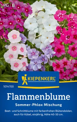 Artikelbild 2 von 'Flammenblume Sommer-Phlox Mischung' aus der Kategorie Blumensamen