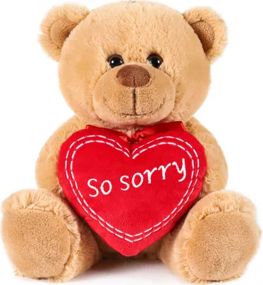 A teddy bear holding a red heart with the words "So sorry" on it.