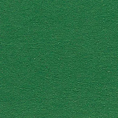 Produktbild von Folia Bastelkarton Tannengrün 10 Bögen 50x70 cm 300g Papier