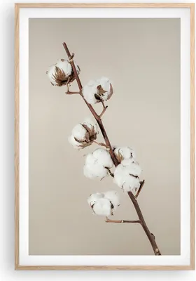 Produktbild von Gerahmtes Poster - Rahmen in heller Eiche - Baumwolle Zweig Boho - 61x91,5 cm - Wand Bild - Wanddeko - Wandbilder - Kunstposter - Wandposter - Bilderrahmen - Bilder - Kunstdruck - P2NPA61x91-4730