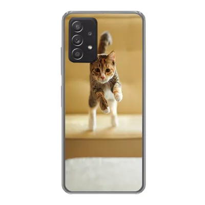 Produktbild von MuchoWow® Handyhülle Schutzhülle Hülle für Samsung galaxy a73 Katze - Frühling - Stuhl Silikon Softcase Handy Hülle - Handyhülle