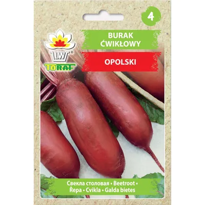 Zdjęcie produktu dla Burak ćwikłowy Opolski Nasiona 10g Toraf 16.
