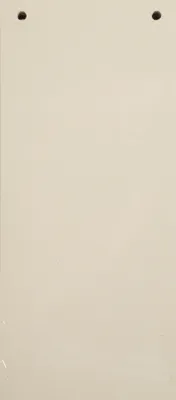 Produktbild von Exacompta 12x 100 Trennstreifen 2-fach gelocht RC Kart 105x240mm Sand 13475B