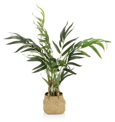 Obrázok produktu pre hjh OFFICE Umelá rastlina CHAMAEDOREA Umelá rastlina Palma Výška 65,0 cm Dekorácie