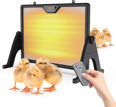 Productafbeelding van Verwarmingsplaat voor Kuikens met Afstandsbediening & Instelbare Temperatuur
