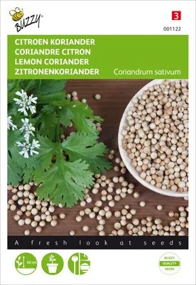 Produktbild von Koriander Großkörnig Zitrone | Koriandersamen von Buzzy Seeds