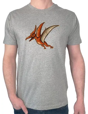 Produktbild von Huuraa Herren T-Shirt Pteranodon Dinosaurier XL Sport Grey Bio Baumwolle Fairtrade Herrenshirt Geschenkidee