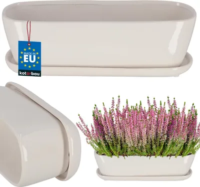 Produktbild von KOTARBAU® Keramik Blumenkasten mit Untersetzer 32x10,5x11cm Weiß Pflanzkübel Blumenkasten Pflanzentopf Übertopf Blumenkasten Balkon Pflanze Töpfe Blumenkübel Pflanztopf Kräutertopf Fensterbank