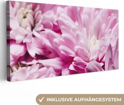 Produktbild von MuchoWow® - Leinwandbilder - Blumen - Rosa - Natur, Wandbild, Wanddeko Bilder Wohnzimmer, 40x20 cm