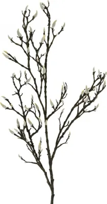 Produktbild von Künstlicher Magnolienzweig Frühlingsdeko Braun Weiß 135cm – Naturgetreue Dekoration