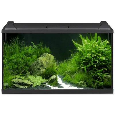 Produktbild von Aquarium Set EHEIM aquaproLED 126 mit LED-Beleuchtung, Filter, Heizer, Thermometer, Fangnetz ohne Unterschrank schwarz ca. 126 L 80 x 45 x 35 cm