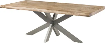 Image de MASSIVMOEBEL24 | Table à manger 220x100 en bois de manguier beige pied central gris FREEFORM 5