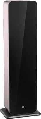 A tall, slender, modern air machine with a black glass front and rose gold sides, standing on a black base.
