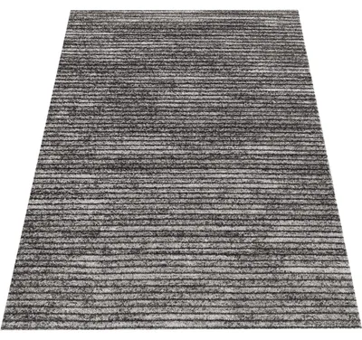 Image de Tapis PANAMERO 23 gris 120 x 170 cm