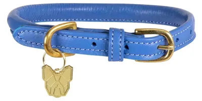 Image de Digby & Fox - Collier pour chien, cuir enroulé, boucle ER2101 (M/L - Tour de cou : 47 cm-52 cm) (bleu roi)