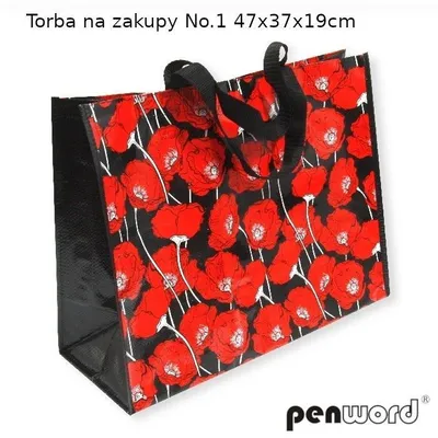 Zdjęcie produktu dla Torba na zakupy 47x37x19cm