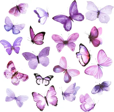 Produktbild von Apausvcm 40 Stück Schmetterlingsaufkleber, Aufkleber, Scrapbooking, Schmetterlinge, Dekoration, Schmetterlings-Wandaufkleber, für Tagebücher, Laptops, Gepäck, Wände, Mobiltelefone, DIY-Dekoration