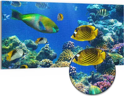 Produktbild von DEQORI Hybrid Leinwand Bild 100x50 cm 'Unterwasserwelten' Wandbild Glas flach modern