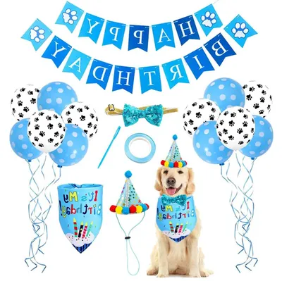 Productafbeelding van Huisdier Verjaardag Set - Feest Accessoires - Huisdier Vieren - Compleet Decoratie Pakket - 10 Delig - Blauw