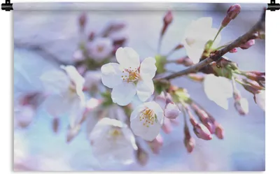 Produktbild von MuchoWow® Wandteppich Wandbehang Blumen - Sakura - Zweig 120x80 cm Tapisserie Dekoration Wandtuch - Wanddekorationen - Wandtücher