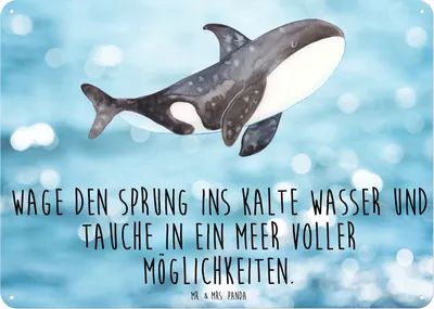 Produktbild von Mr. & Mrs. Panda tafel Orca DIN A6 - Oceanblue - Geschenk, Büro, Türschild, Meer, Arbeit, Schild, Selbstliebe, Metallbild, Orcas, Wandbild, Magnetschild